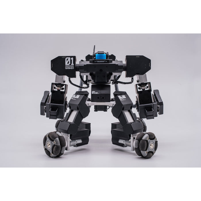 Ganker Fighting Robot